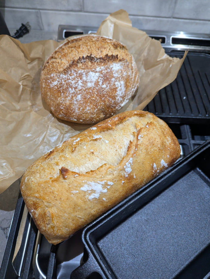 Sourdough baked by Lori in Kamloops