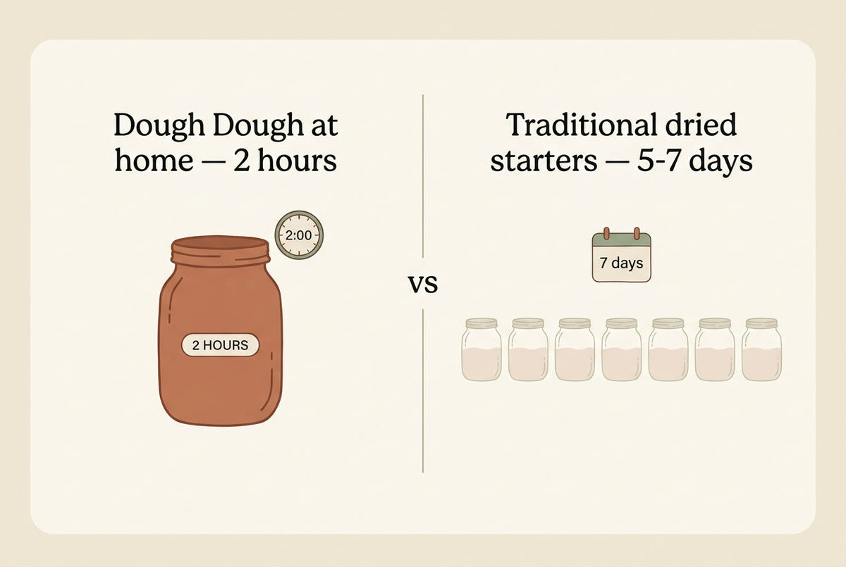 Dough Dough at Home wholemeal sourdough starter — 15 g kraft pack, live culture, never dehydrated — two-hour comparison