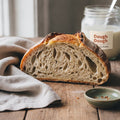 San Francisco style sourdough bread crumb — the tangy, open texture from Lactobacillus sanfranciscensis