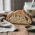 San Francisco style sourdough bread crumb — the tangy, open texture from Lactobacillus sanfranciscensis